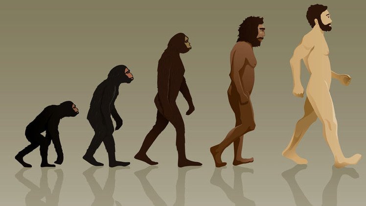 Mujeres hermosas y hombres altos: Cómo evolucionará el ser humano en el futuro