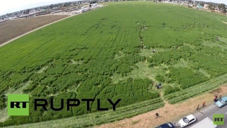 VIDEO: Aparecen formas misteriosas en un campo de México