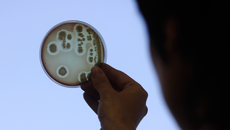 Rusia construye un Arca de Noé con ADN de todos los seres vivos del planeta