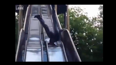 Si el tobogán estaba clausurado sería por algo