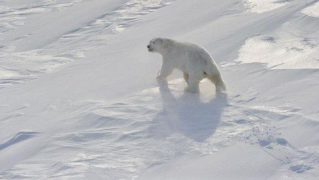 Rusia y Dinamarca negociarán bilateralmente sus límites en la plataforma del Ártico