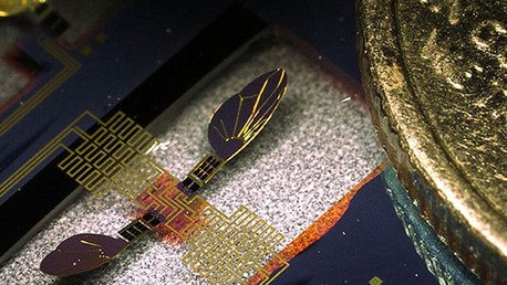 Las moscas y ciempiés robóticos, ¿armas secretas del Ejército de EE.UU.?