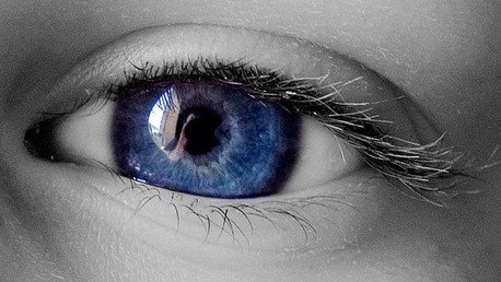 ¿Por qué el contenido visual se disparará en el 2015?