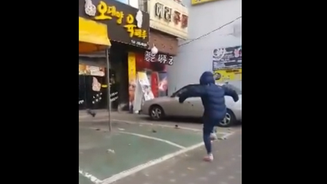 Cómo espantar palomas al estilo coreano