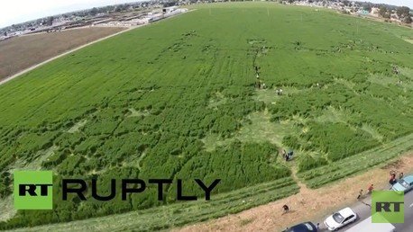 VIDEO: Aparecen formas misteriosas en un campo de México