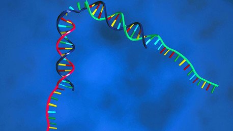 Maneras de mejorar los genes de nuestro organismo
