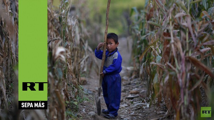 Exclusivo: RT revela los 'trucos' económicos de Corea del Norte para resistir las sanciones