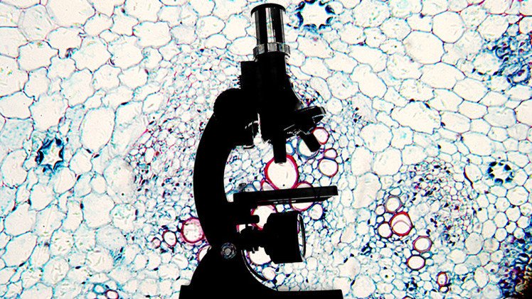 Una niña de ocho años sugiere una posible cura para el cáncer