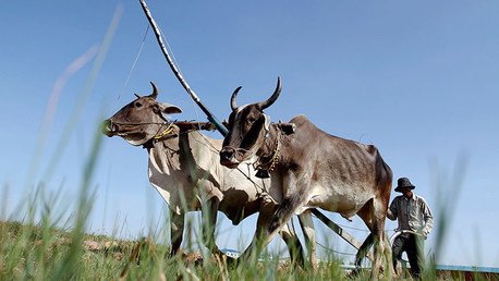 Los 10 sorprendentes países con el crecimiento económico más rápido en 2015