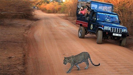 10 profesiones que te pagan por viajar