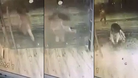 Esto es lo que pasa cuando una puerta de cristal de una tienda está demasiado limpia