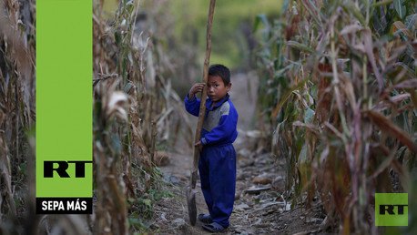 Exclusivo: RT revela los 'trucos' económicos de Corea del Norte para resistir las sanciones