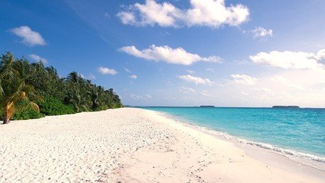 ¿Por qué los ricos están comprando refugios secretos?