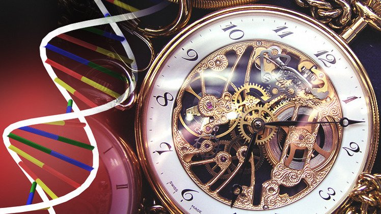 El ADN contiene pistas que predicen nuestra 'fecha de caducidad'