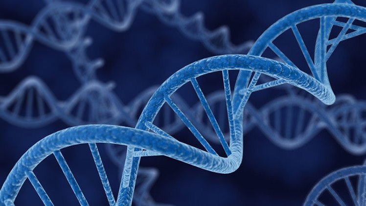 Científicos rusos logran averiguar el origen étnico y geográfico de una persona por su ADN