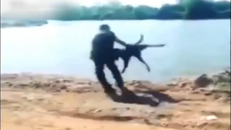 Quiere torturar a un perro y se lleva un buen chapuzón de karma