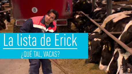 La lista de Erick: ¿Qué tal, vacas?