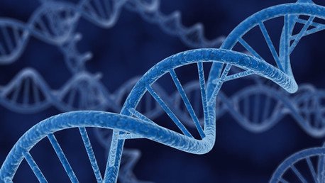 Científicos rusos logran averiguar el origen étnico y geográfico de una persona por su ADN