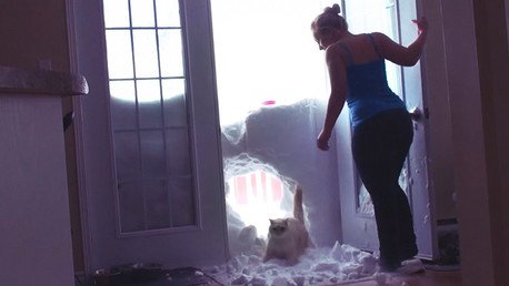 Un gato atraviesa de un salto un 'muro de nieve' para entrar a casa