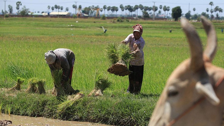 Los cuatro países que más elevaron el salario mínimo