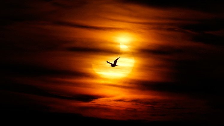 ¿Cómo afectará el mayor eclipse en 15 años al país más dependiente de la energía solar?