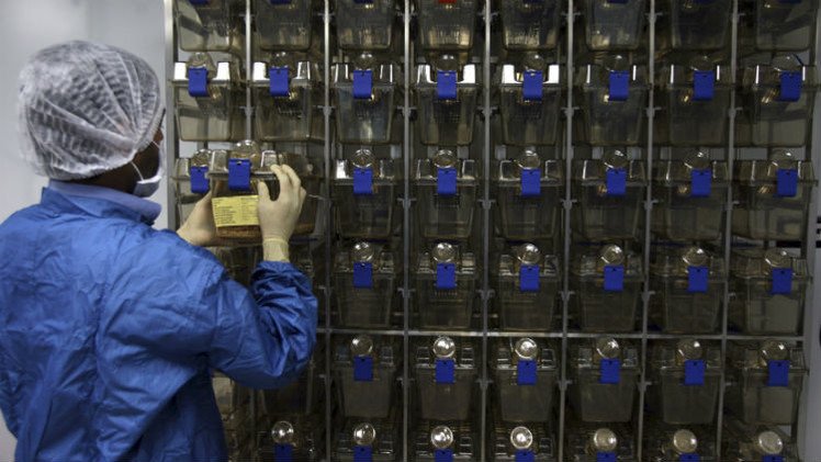 Científicos hallan el 'botón de apagado' de las células cancerosas