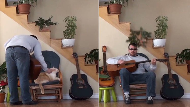 El karma lo castiga: Así se vengó un gato de su dueño guitarrista