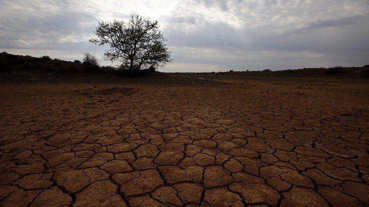 Estudio: la humanidad ha excedido 4 de los 9 límites para la vida en la Tierra