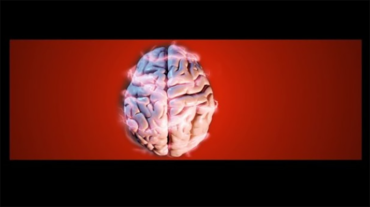 Un nuevo tratamiento revolucionario contra el alzhéimer restaura casi totalmente la memoria