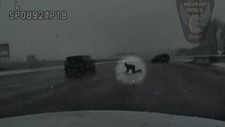 Graban a un joven catapultado literalmente de su coche