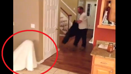 El increíble disfraz de niño fantasma que era demasiado perfecto