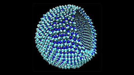 ¿Nueva forma de vida?: Científicos crean un ser que sobrevive sin agua