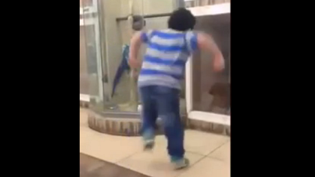 Un perro 'jedi' ataca a un niño con la 'fuerza'