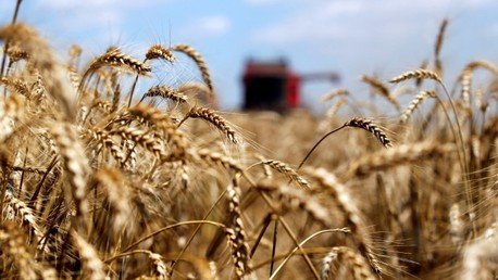 Paul Craig Roberts a RT: "Ucrania tendría que vender todas sus tierras a Monsanto para pagar al FMI"