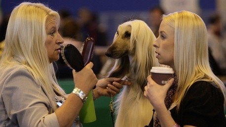 Estudio: "Las mujeres ricas disfrutan de veinte años más de vida sana que las pobres"