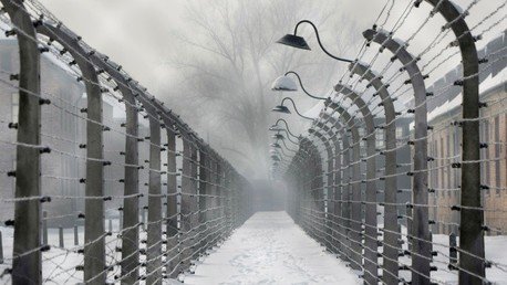 Un estudio determina que el sufrimiento se hereda durante generaciones