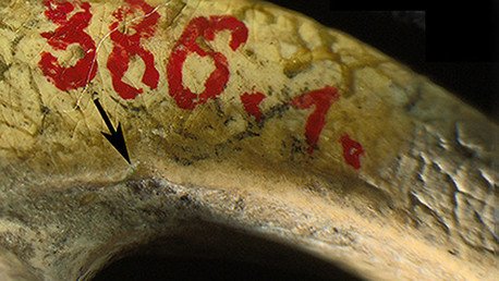 Científicos identifican joyas que serían las más antiguas del mundo