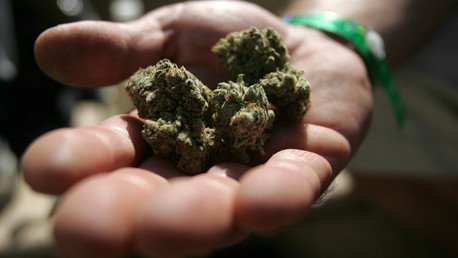 "Me siento traicionada por el Gobierno. La marihuana podría acabar con mi dolencia"