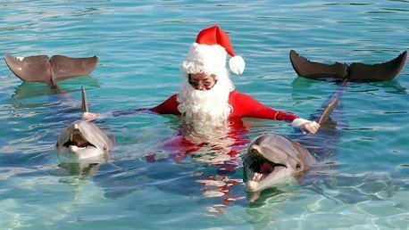 Fotos: Conozca curiosidades insólitas de 10 países exóticos