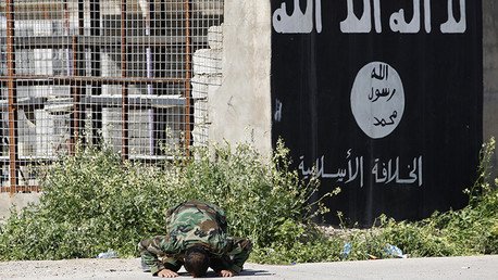 'New York Times': EE.UU. debería armar al Estado Islámico para hacerle frente a Irán