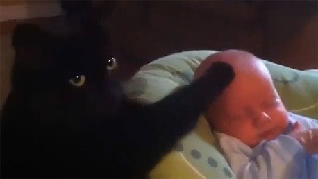 Es este gato el mejor niñero del mundo