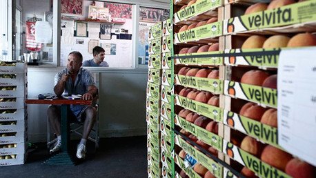 Prensa alemana: "La UE está sufriendo más que Rusia las sanciones"