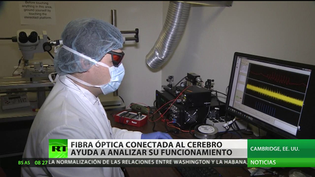 Revolución en la neurología: una fibra óptica ayudará a curar la parálisis cerebral