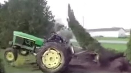 La venganza de la naturaleza: Así 'se defiende' un árbol de un talador 