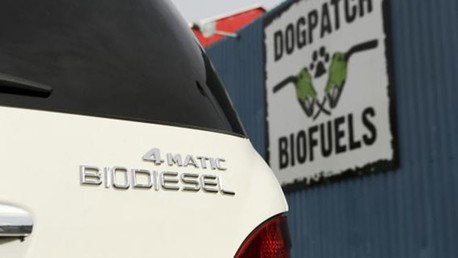 La transición hacia el biocombustible amenaza con la escasez de alimentos