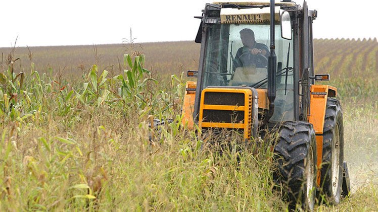 Desenmascaran la triste verdad sobre los organismos genéticamente modificados