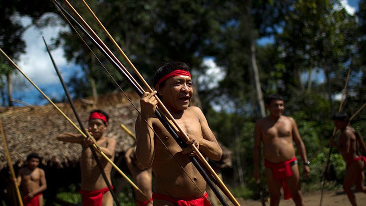 EE.UU. devuelve muestras de 'sangre ancestral' a los yanomami 45 años después