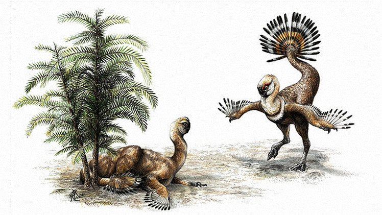 Científicos hallan a los 'Romeo y Julieta' del mundo de los dinosaurios