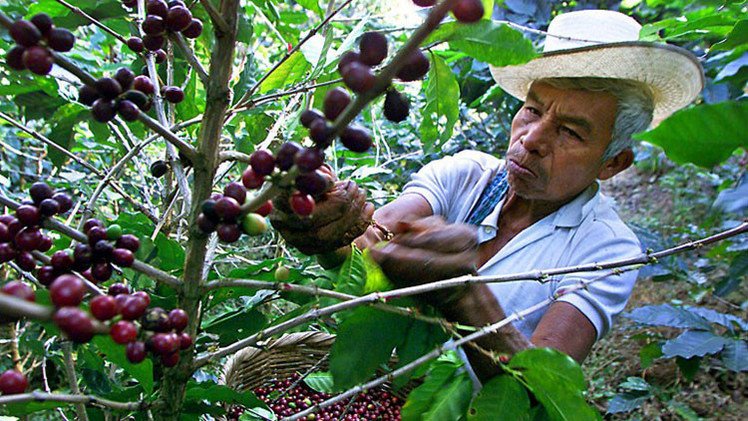 ¿Cuál es el secreto del desarrollo de América Latina?