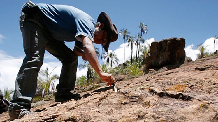 Hallan huellas de dinosaurios de más de 100 millones de años en Canadá (Foto)